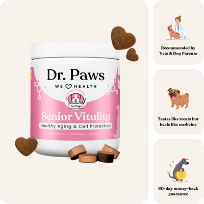 Senior Vitality For Dogs