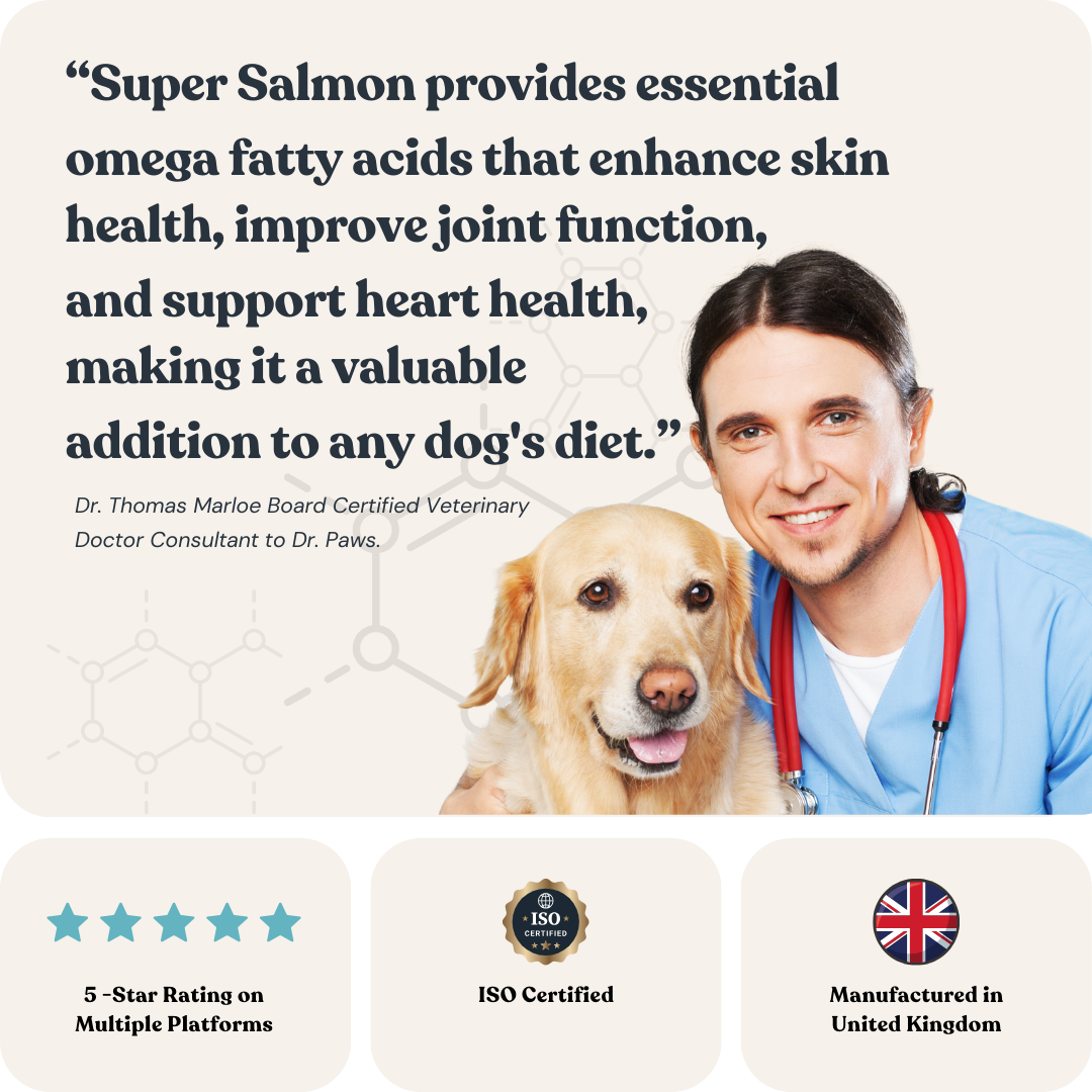 Super Salmon for Cats & Dogs