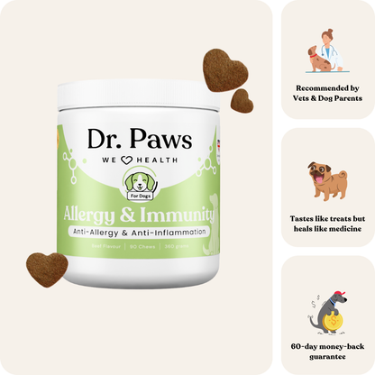 Allergy &amp; Immunity for Dogs