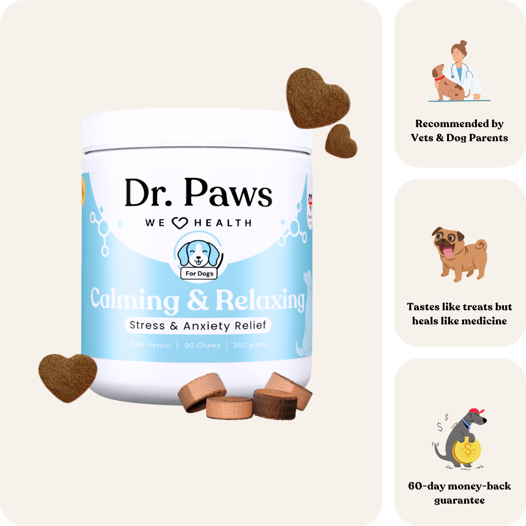 Calming & Relaxing For Dogs