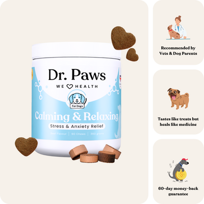 Calming & Relaxing For Dogs