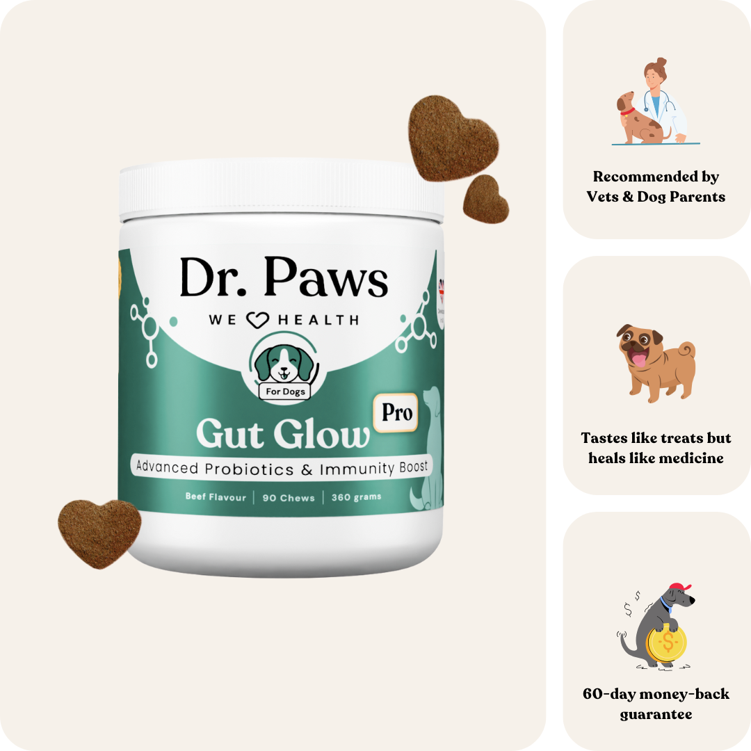 Gut Glow Pro for Dogs