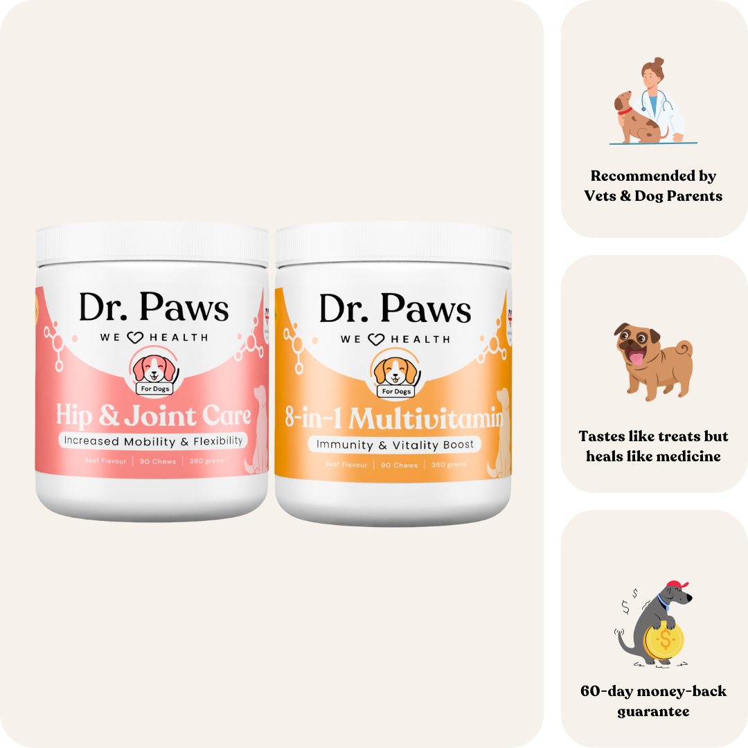 Senior Dog Boost Bundle