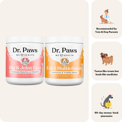 Senior Dog Boost Bundle