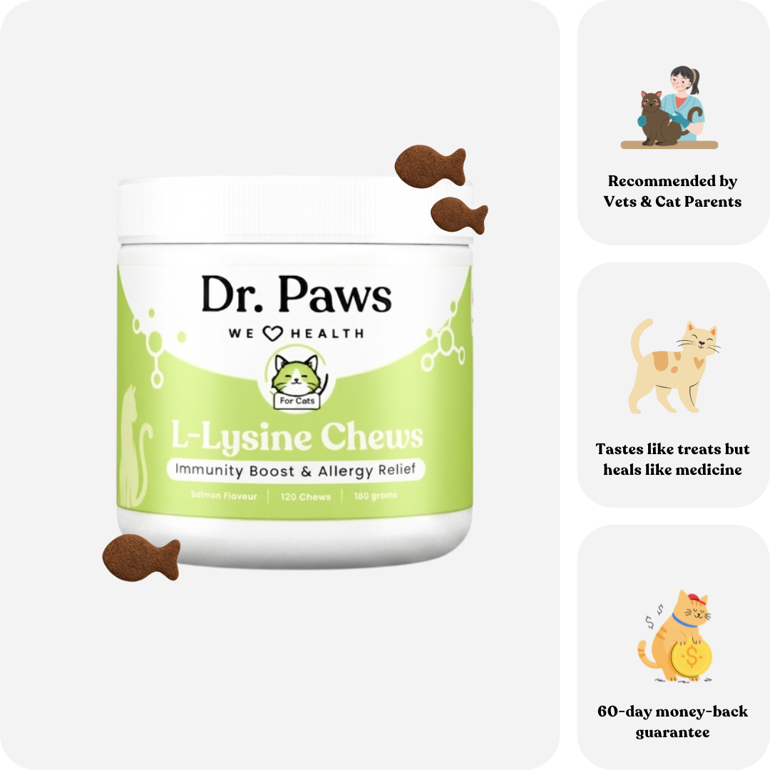 L-Lysine Chews for Cats