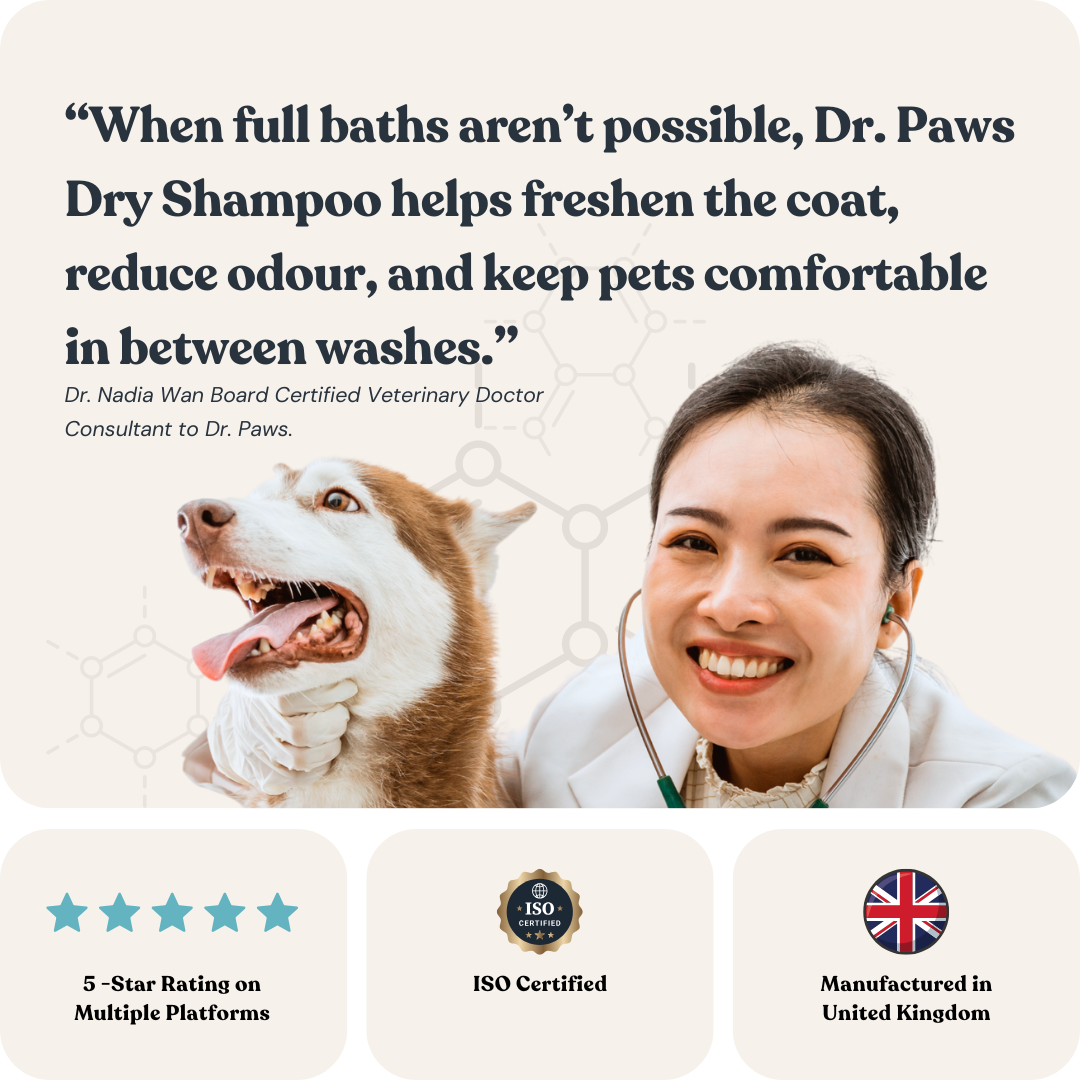 Foam Shampoo for Cats & Dogs