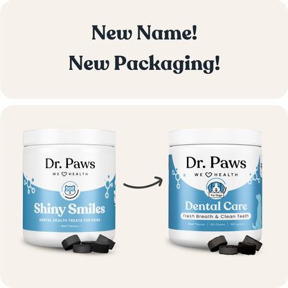 Dental Care for Dogs