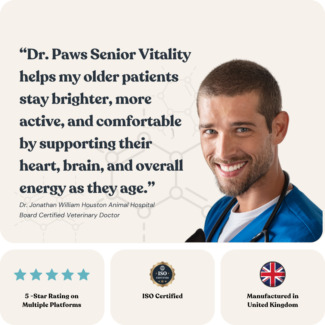 Senior Vitality For Dogs