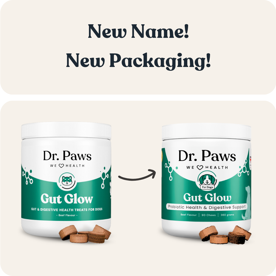 Gut Glow for Dogs