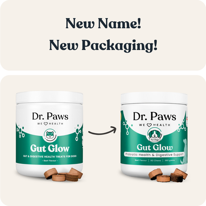 Gut Glow for Dogs