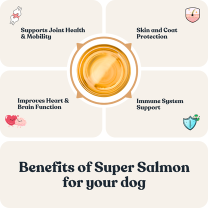 Super Salmon