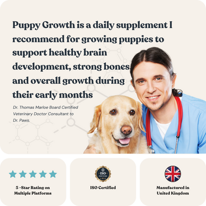 Puppy Growth For Dogs