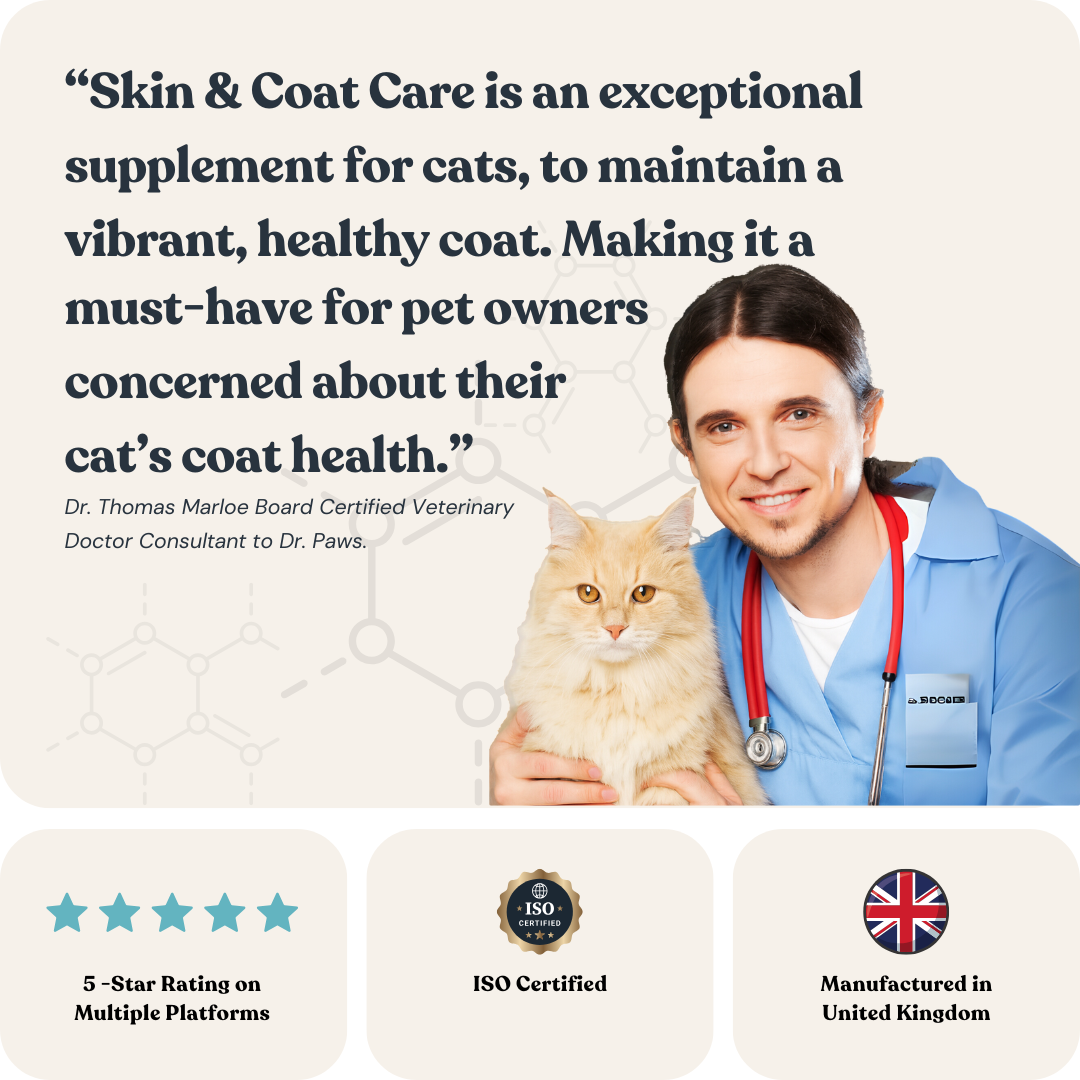 Skin & Coat Care for Cats