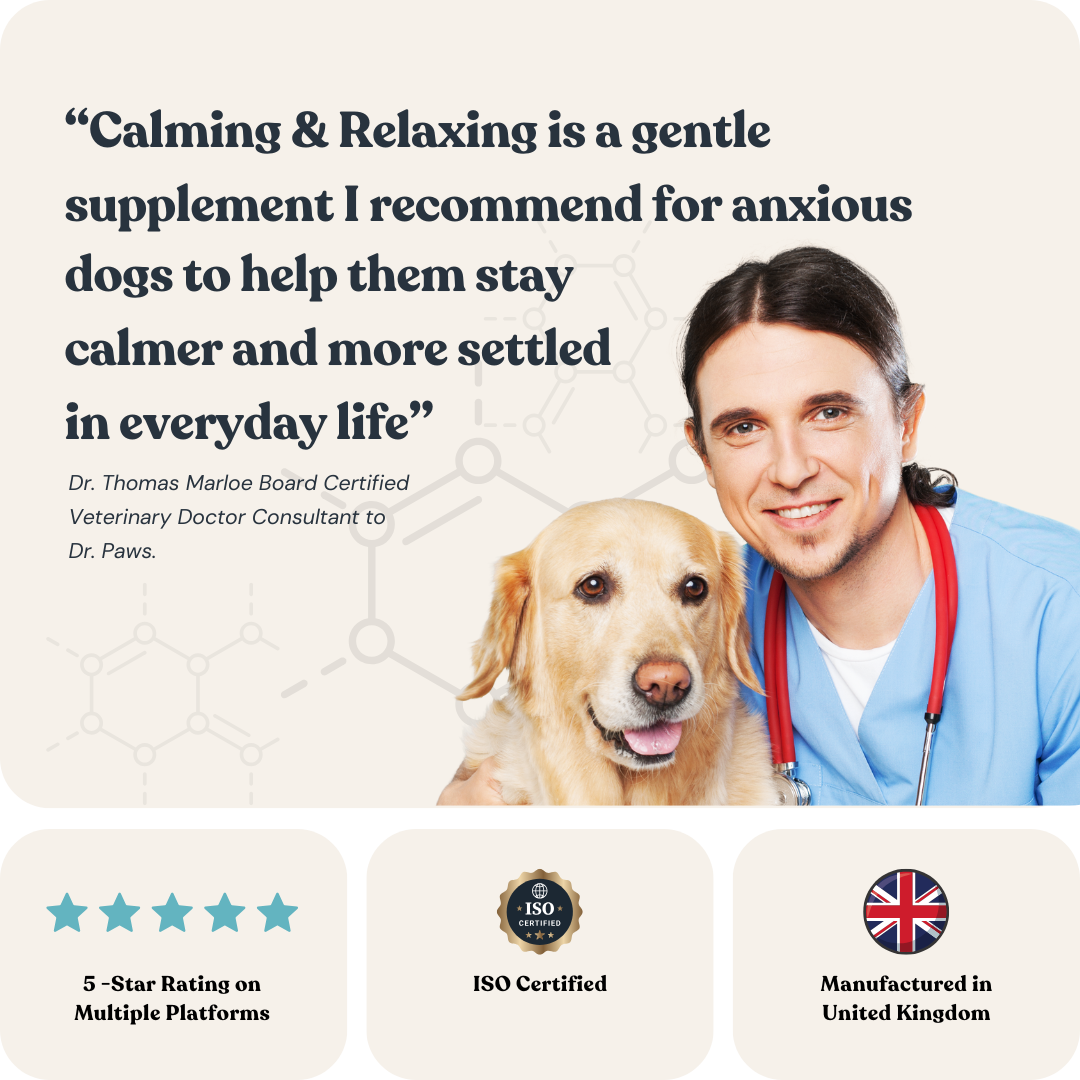Calming & Relaxing For Dogs
