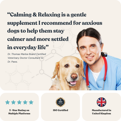 Calming &amp; Relaxing For Dogs