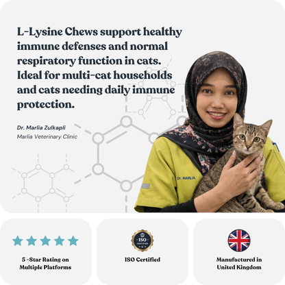 L-Lysine Chews for Cats