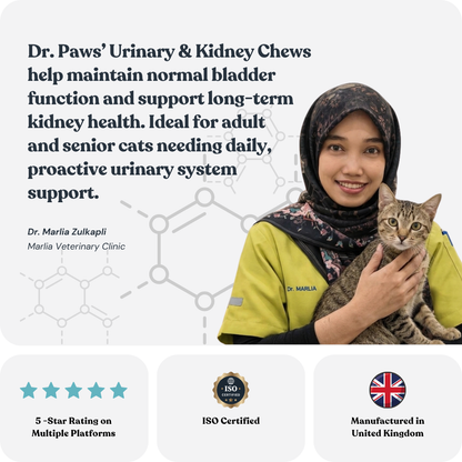 Urinary & Kidney Chews for Cats