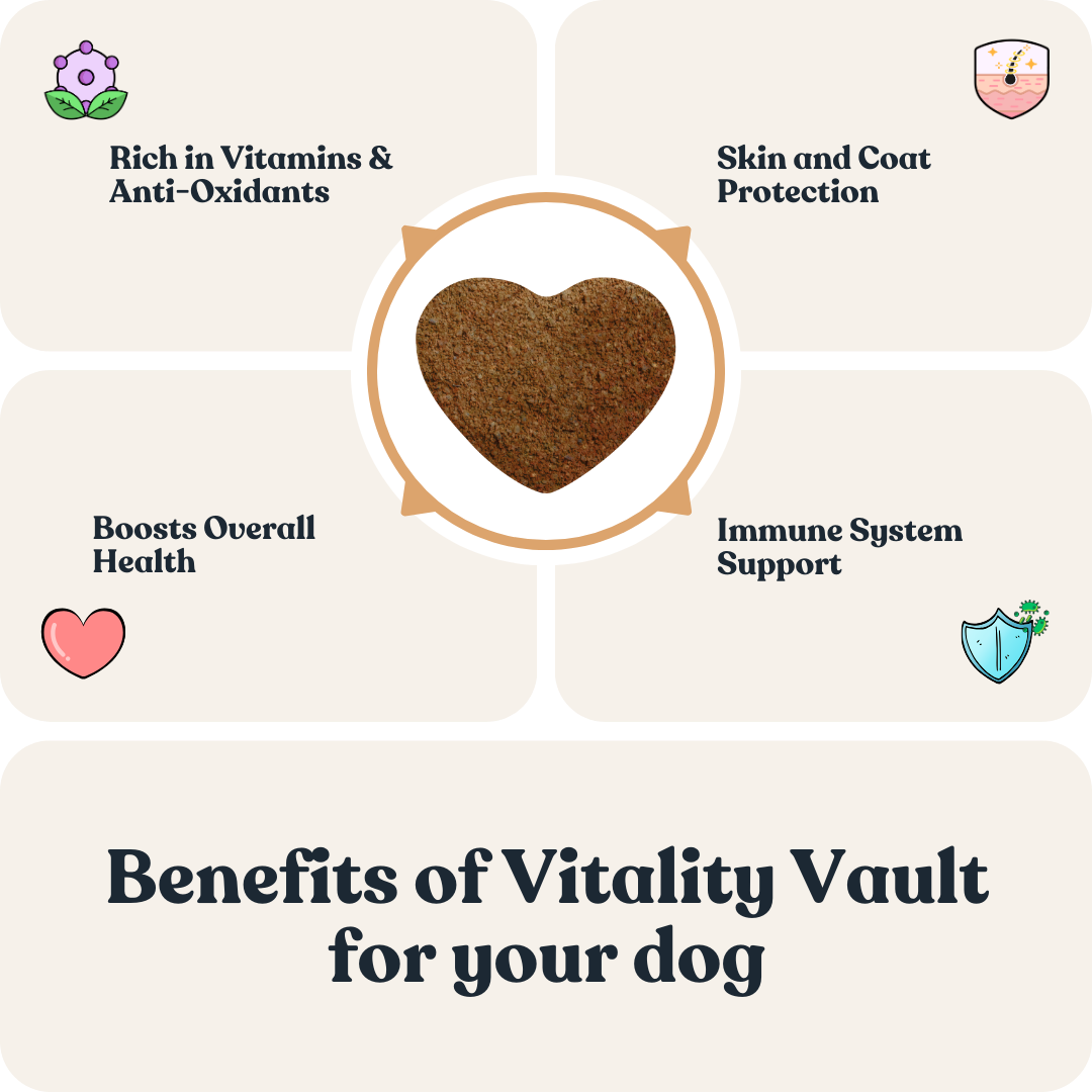 Vitality Vault