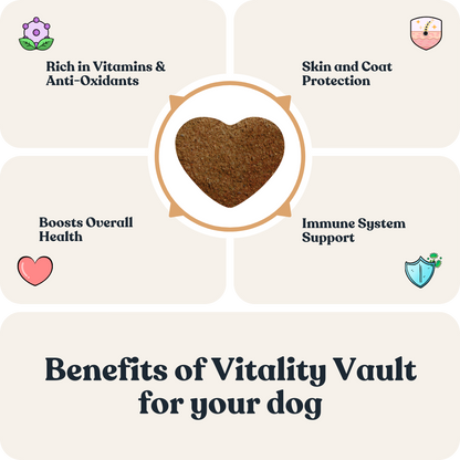 Vitality Vault