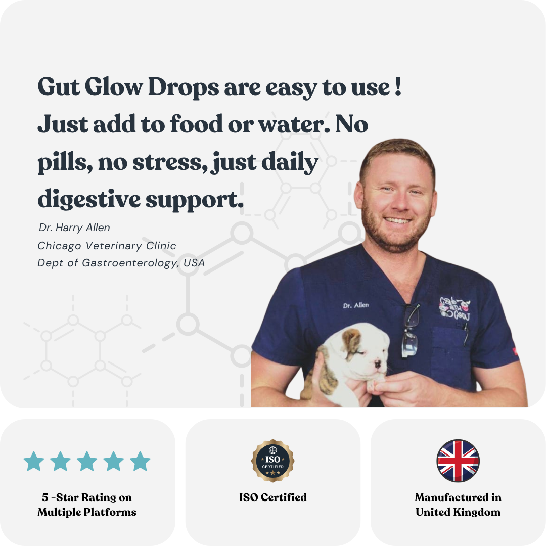 Dr. Paws Allergy & Immunity Drops