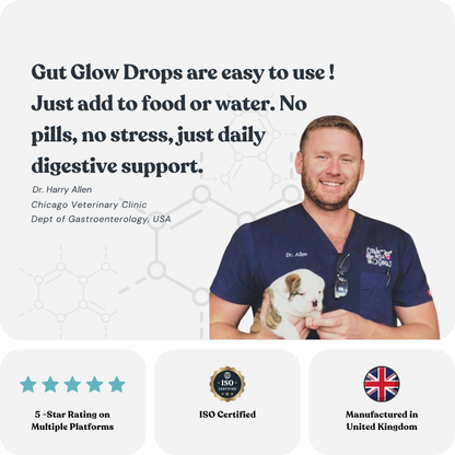 Dr. Paws Allergy & Immunity Drops