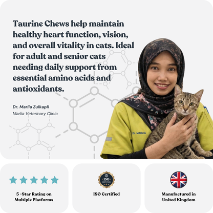 Taurine Chews for Cats