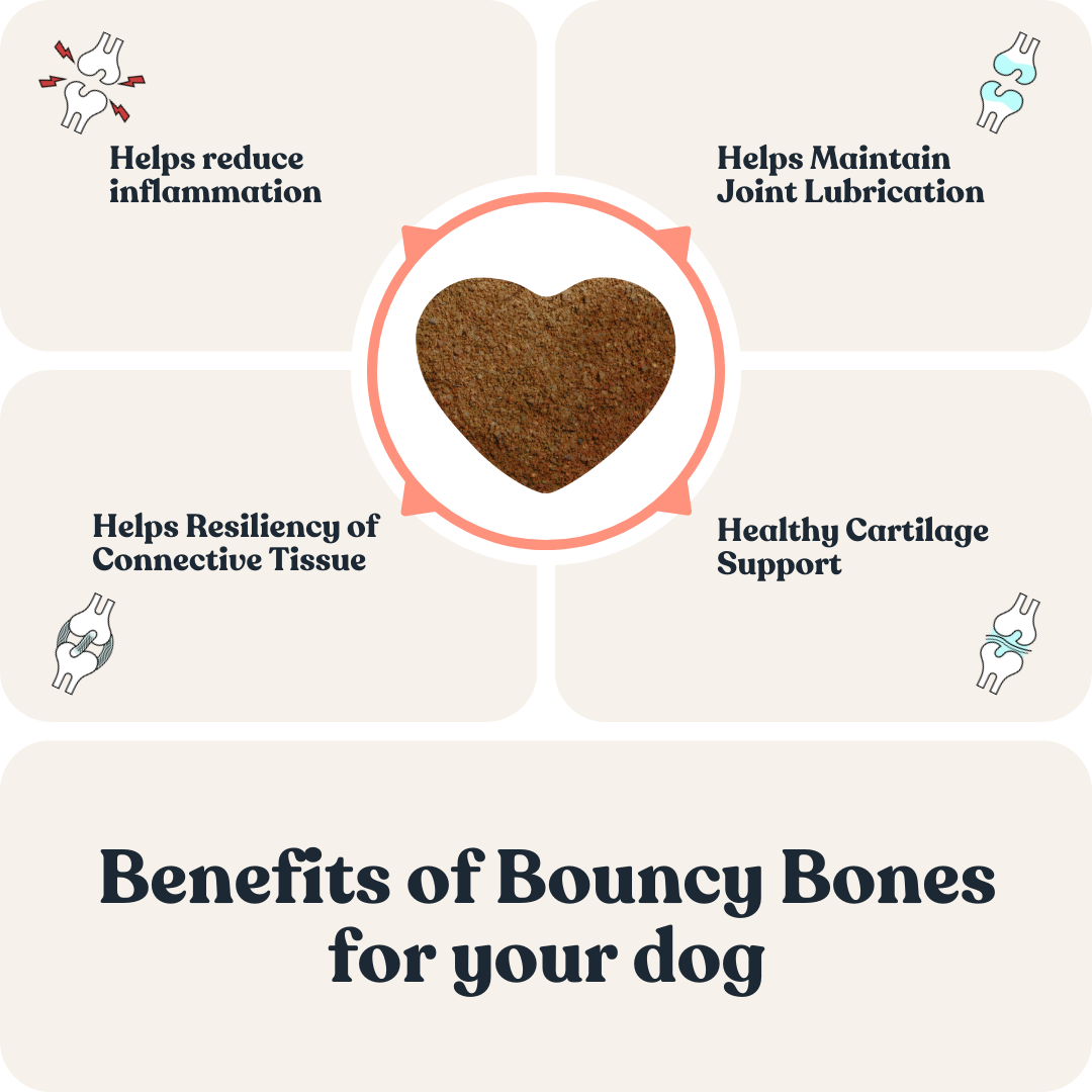 Bouncy Bones