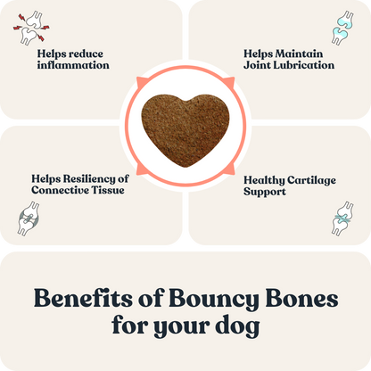 Bouncy Bones