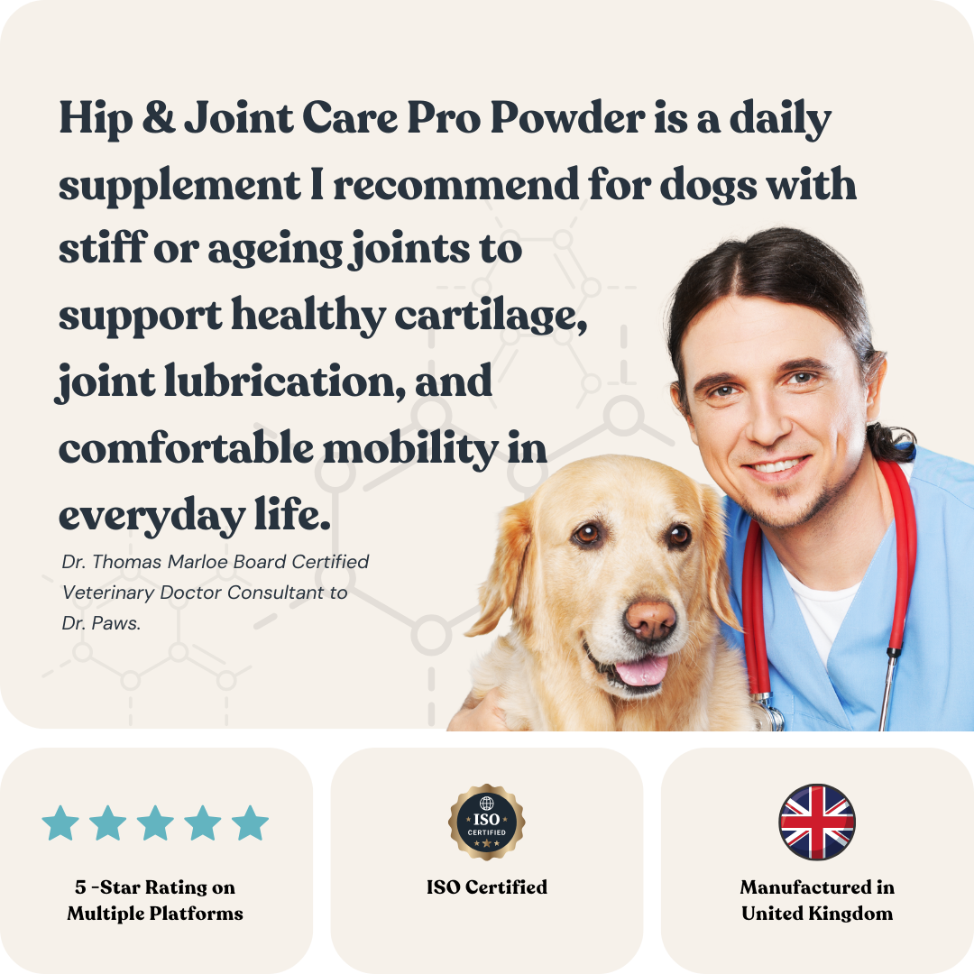 Hip & Joint Powder Pro for Cats & Dogs