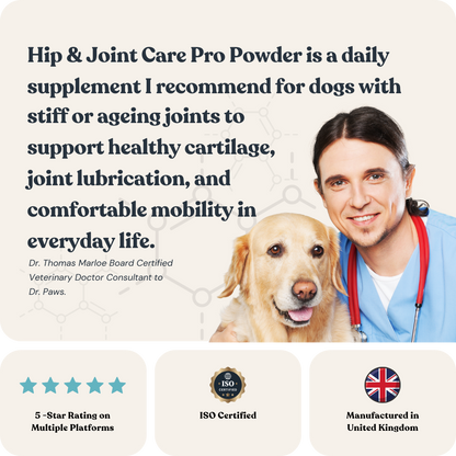 Hip &amp; Joint Powder Pro for Cats &amp; Dogs