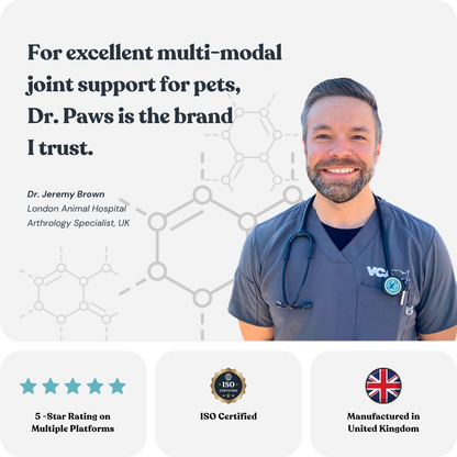 Hip & Joint Care Chews for Cats
