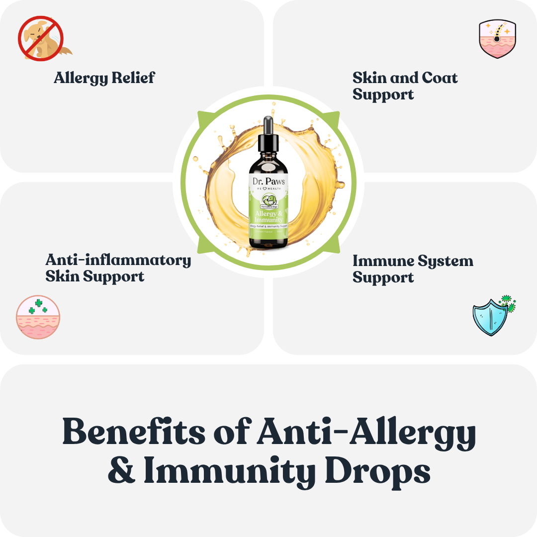 Dr. Paws Allergy & Immunity Drops