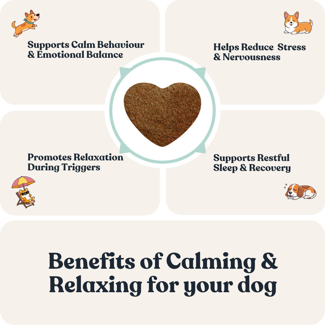 Calming &amp; Relaxing For Dogs