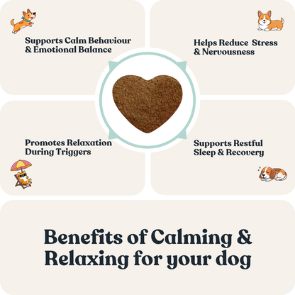 Calming &amp; Relaxing For Dogs