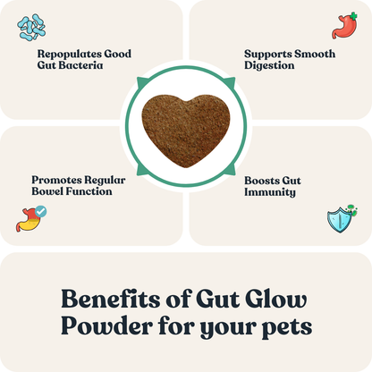 Gut Glow Powder for Cats &amp; Dogs