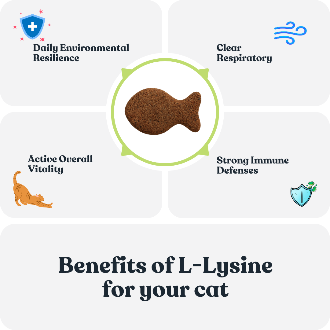 L-Lysine Chews for Cats