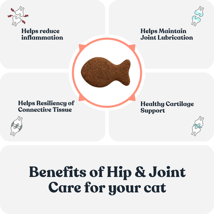 Hip & Joint Care Chews for Cats