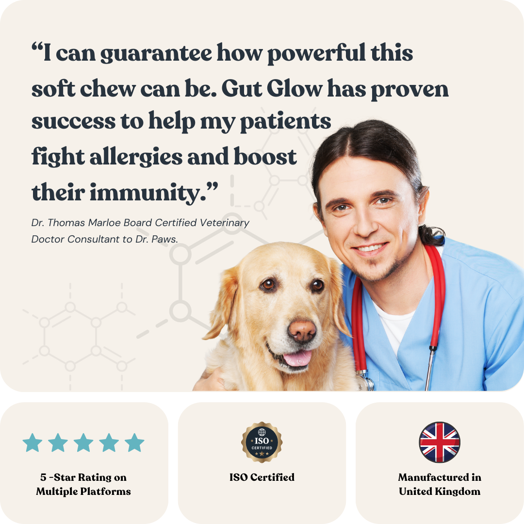 Gut Glow for Dogs