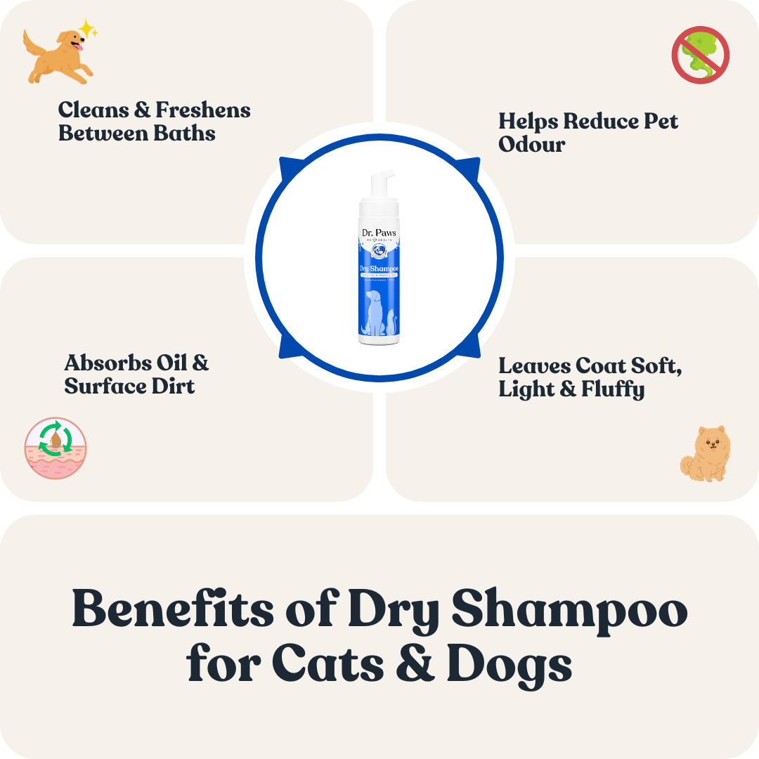 Foam Shampoo for Cats & Dogs