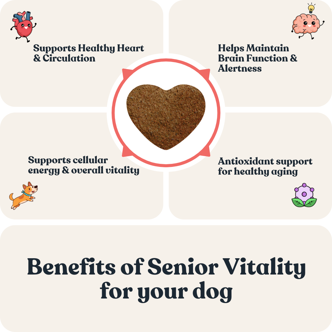 Senior Vitality For Dogs