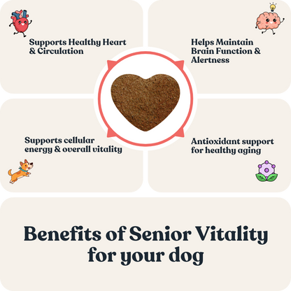 Senior Vitality For Dogs