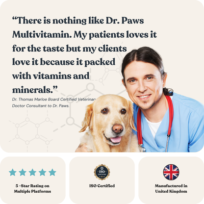 8-in-1 Multivitamin for Dogs