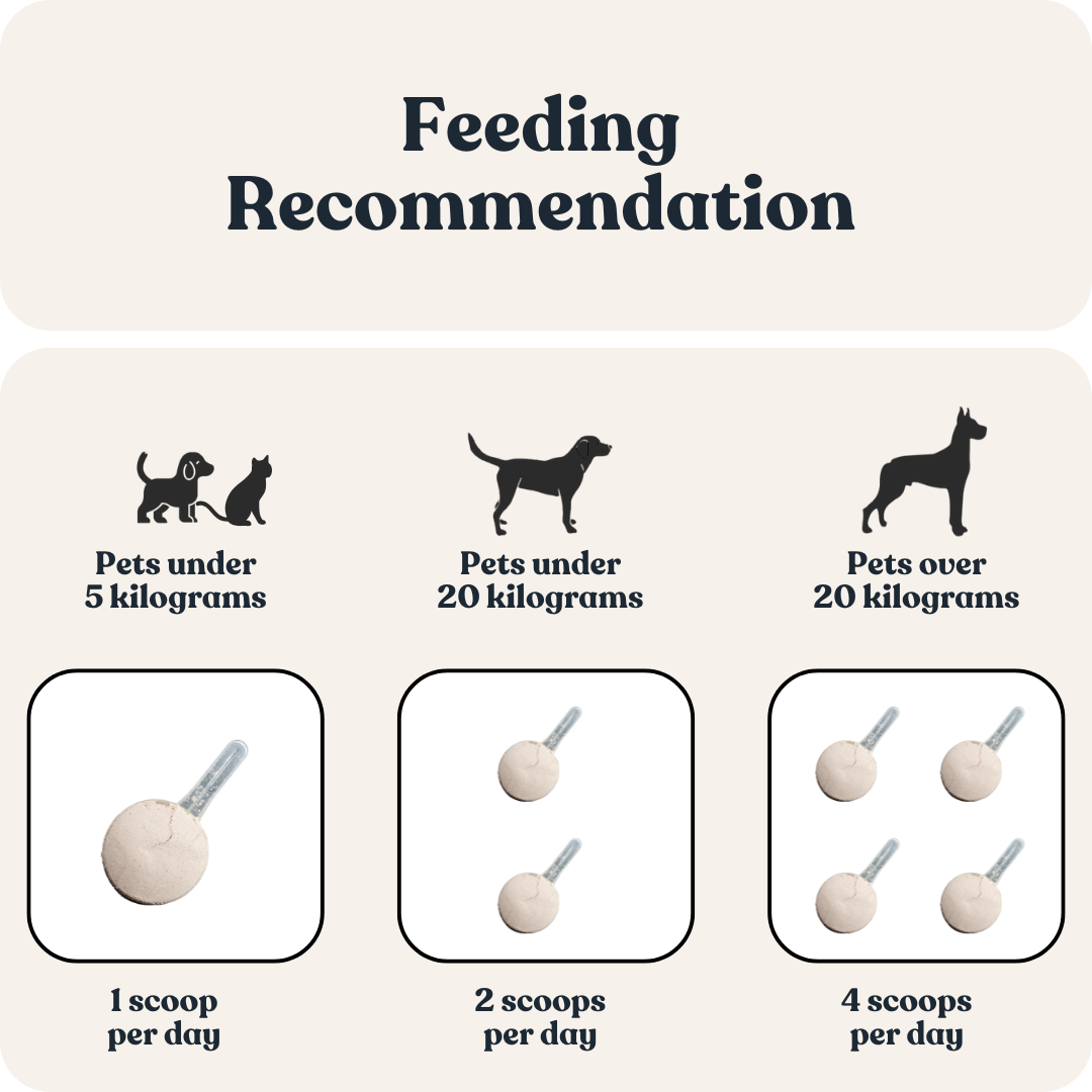 Hypoallergenic Anti-Allergy Powder for Cats &amp; Dogs