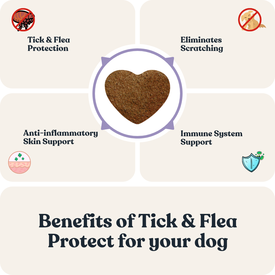🎁🐶 FREE Gift: 200g Tick &amp; Flea Protect for Dogs (Value 119 MYR)
