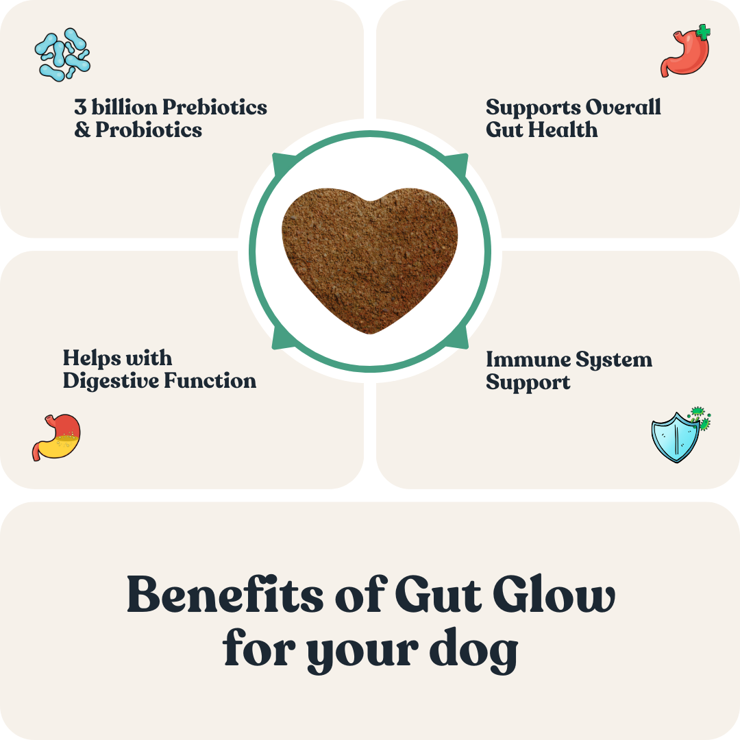 Gut Glow for Dogs