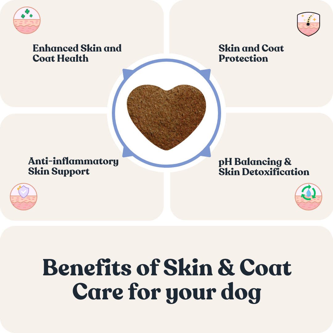 Skin & Coat Care for Dogs