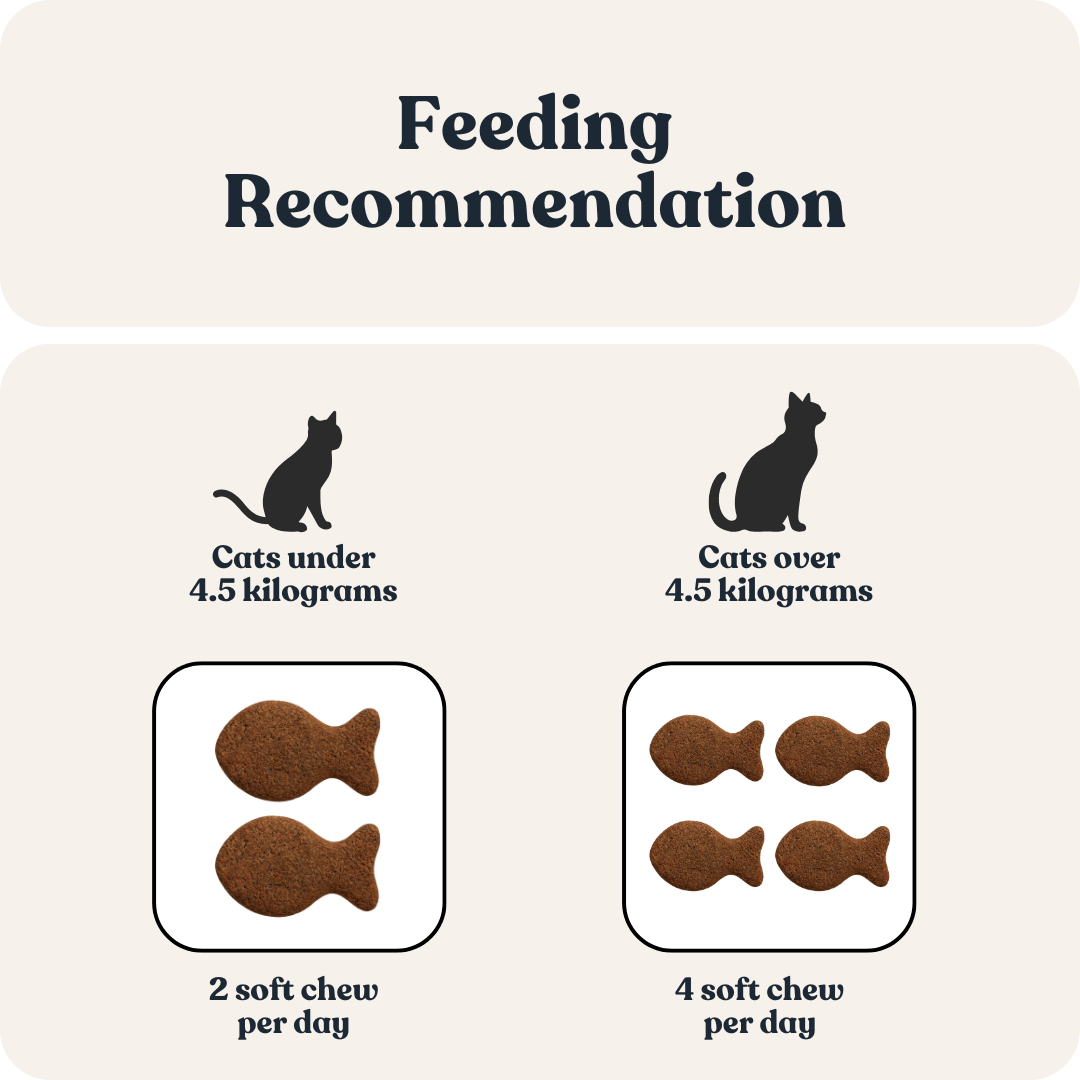 Skin & Coat Care for Cats