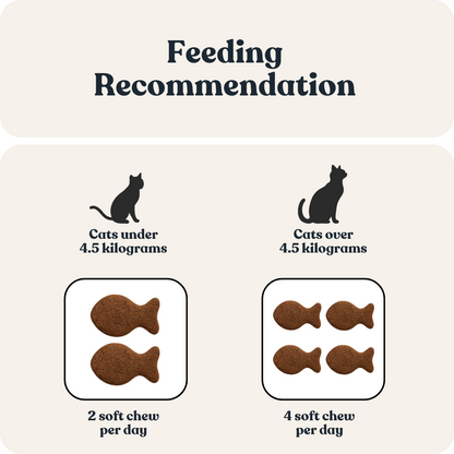 Skin &amp; Coat Care for Cats