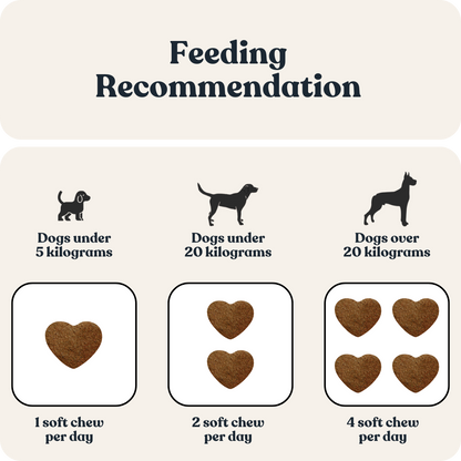 Senior Vitality For Dogs