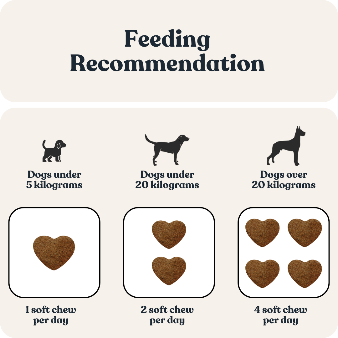 Calming & Relaxing For Dogs